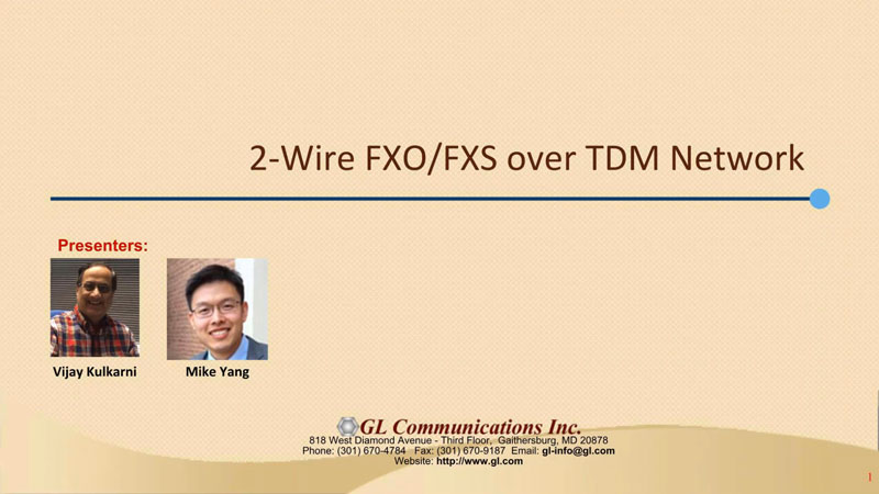 2-Wire FXOFXS over TDM Network
